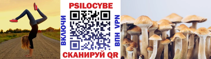 Псилоцибиновые грибы мухоморы  ОМГ ОМГ ССЫЛКА  Калязин 